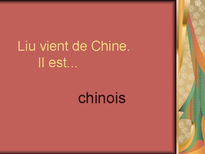 Liu vient de Chine. Il est. . . chinois 