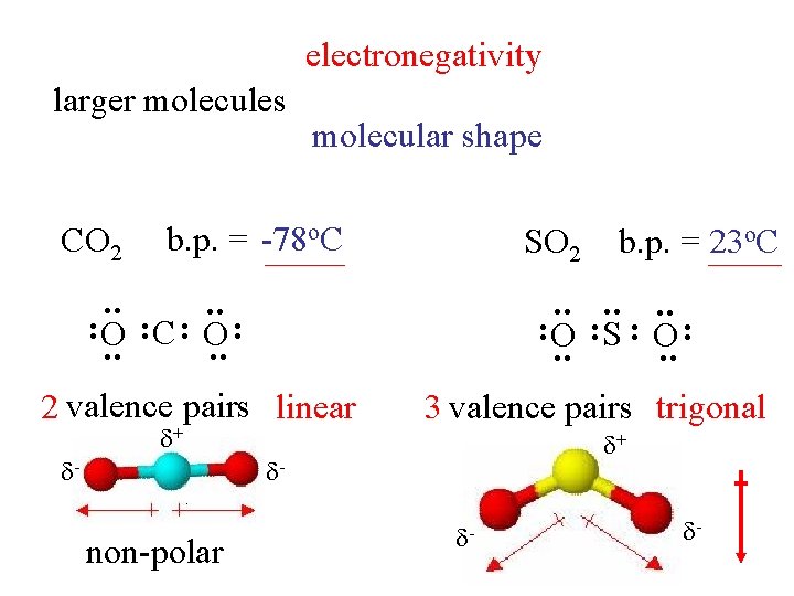 electronegativity larger molecules CO 2 molecular shape b. p. = -78 o. C SO