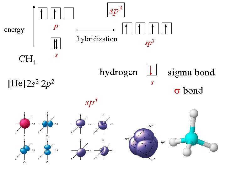 sp 3 energy p hybridization CH 4 sp 3 s hydrogen [He] 2 s