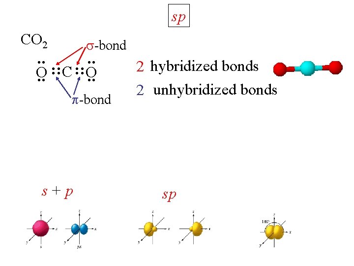 sp CO 2 : : -bond O : : C : : O -bond