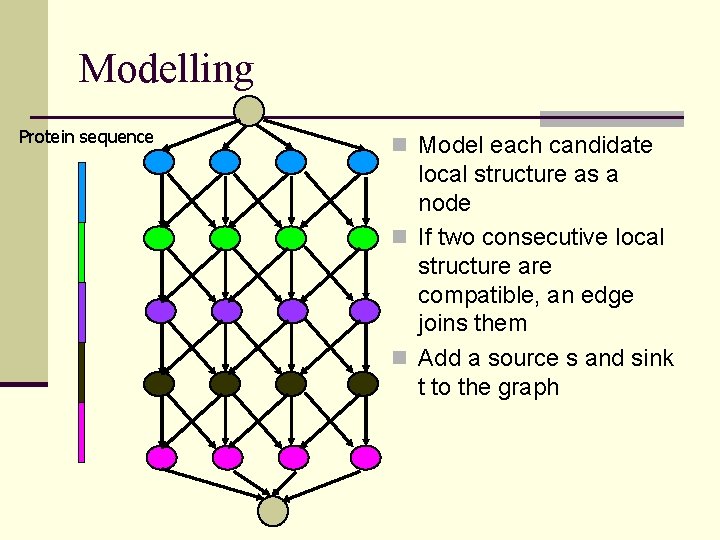 Modelling Protein sequence n Model each candidate local structure as a node n If