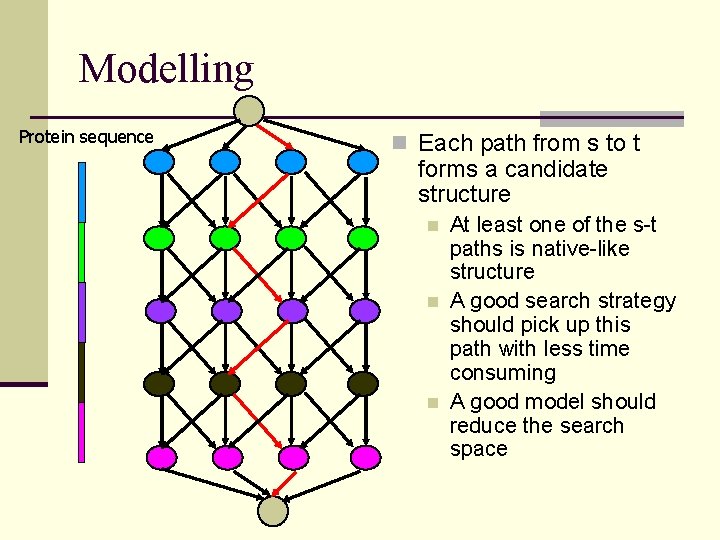 Modelling Protein sequence n Each path from s to t forms a candidate structure