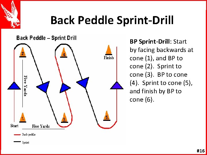 Back Peddle Sprint-Drill BP Sprint-Drill: Start by facing backwards at cone (1), and BP