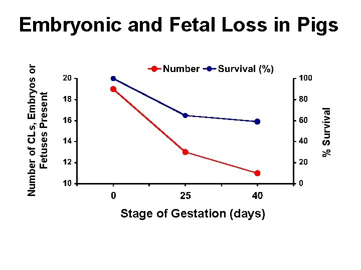 % Survival Number of CLs, Embryos or Fetuses Present Embryonic and Fetal Loss in