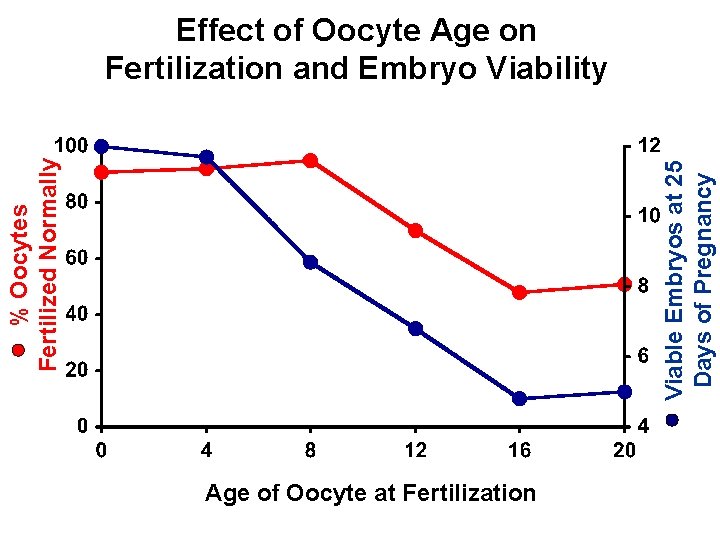 Viable Embryos at 25 Days of Pregnancy % Oocytes Fertilized Normally Effect of Oocyte