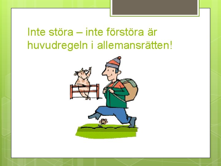 Inte störa – inte förstöra är huvudregeln i allemansrätten! 