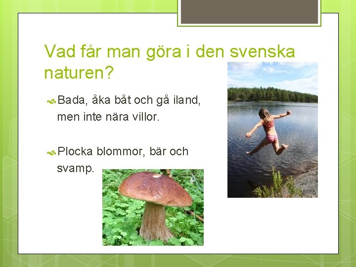 Vad får man göra i den svenska naturen? Bada, åka båt och gå iland,