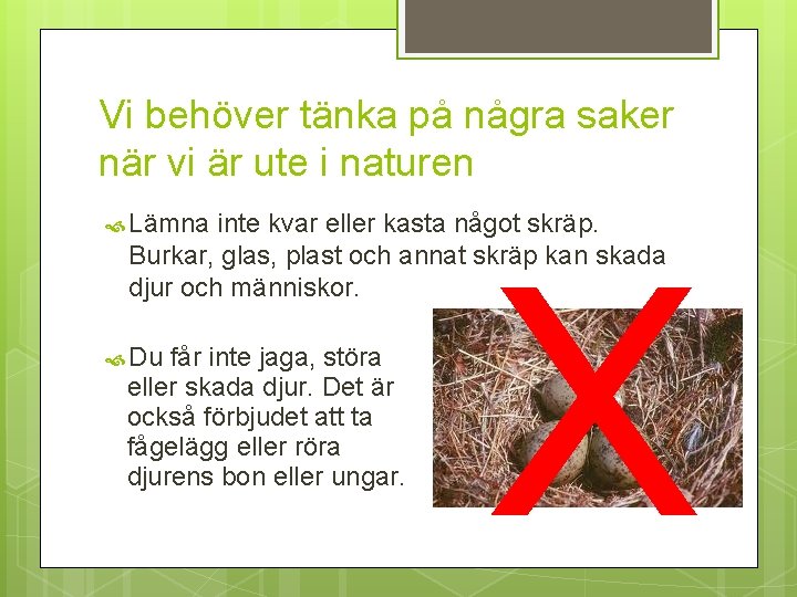 Vi behöver tänka på några saker när vi är ute i naturen Lämna inte