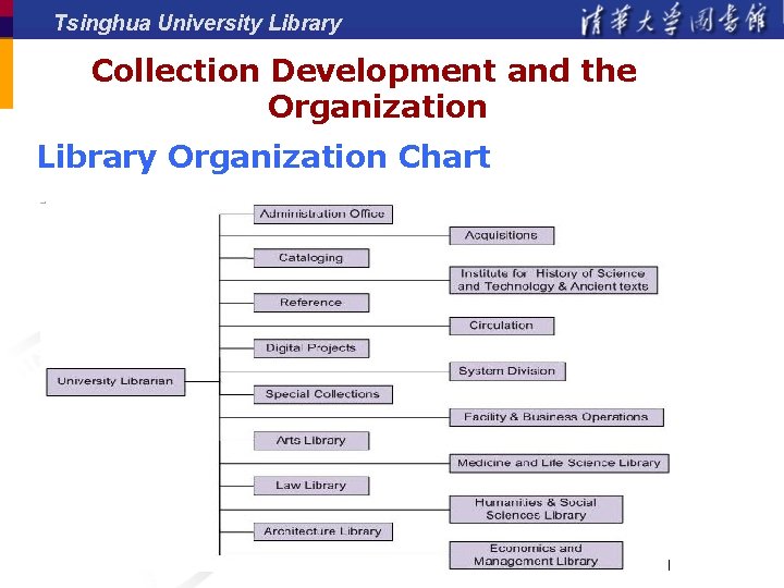 Tsinghua University Library Collection Development and the Organization Library Organization Chart 