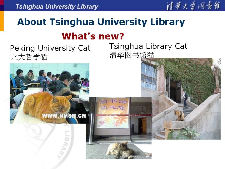 Tsinghua University Library About Tsinghua University Library What's new? Peking University Cat 北大哲学猫 Tsinghua