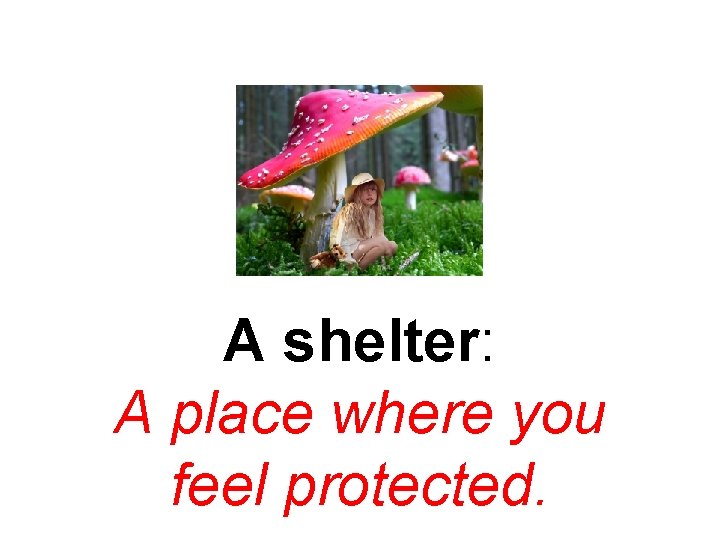 A shelter: A place where you feel protected. 