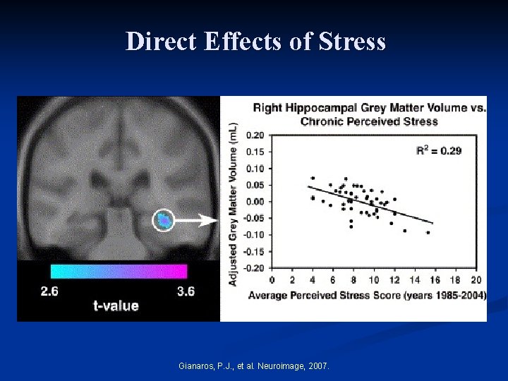 Direct Effects of Stress Gianaros, P. J. , et al. Neuroimage, 2007. 