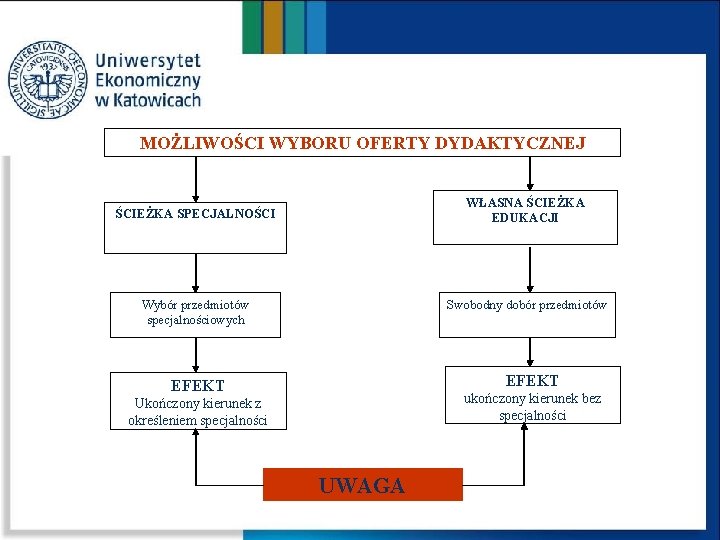 MOŻLIWOŚCI WYBORU OFERTY DYDAKTYCZNEJ WŁASNA ŚCIEŻKA EDUKACJI ŚCIEŻKA SPECJALNOŚCI Wybór przedmiotów specjalnościowych Swobodny dobór