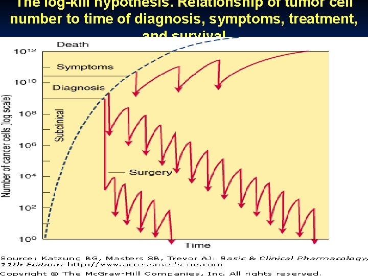 The log-kill hypothesis. Relationship of tumor cell number to time of diagnosis, symptoms, treatment,