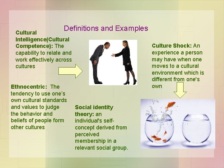 Definitions and Examples Cultural Intelligence(Cultural Competence): The capability to relate and work effectively across