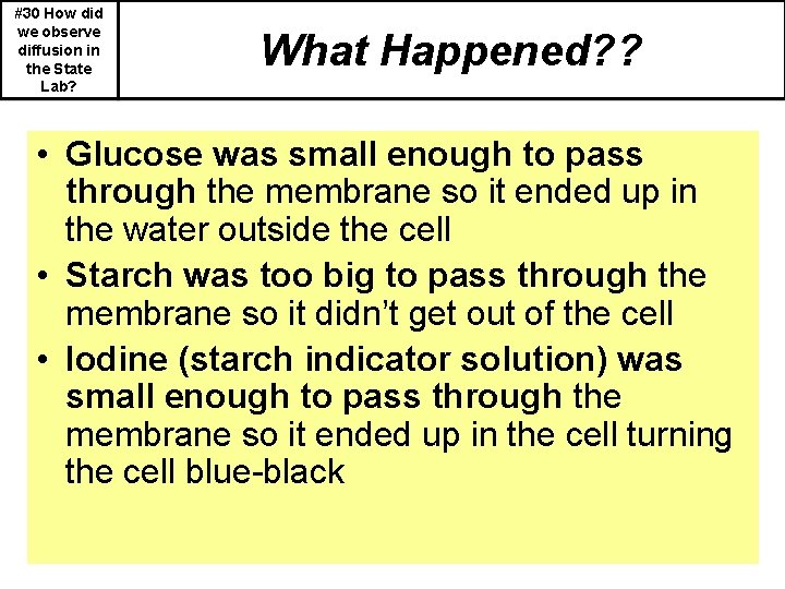 #30 How did we observe diffusion in the State Lab? What Happened? ? •