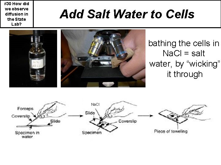 #30 How did we observe diffusion in the State Lab? Add Salt Water to