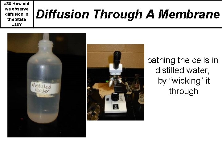 #30 How did we observe diffusion in the State Lab? Diffusion Through A Membrane