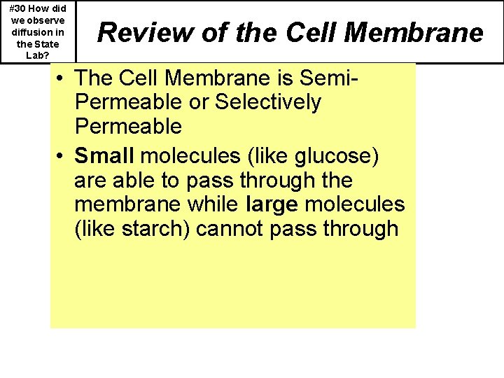 #30 How did we observe diffusion in the State Lab? Review of the Cell