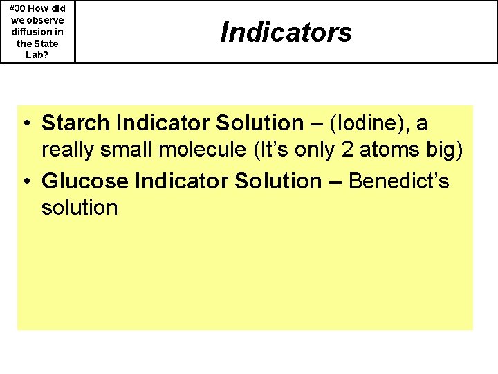 #30 How did we observe diffusion in the State Lab? Indicators • Starch Indicator