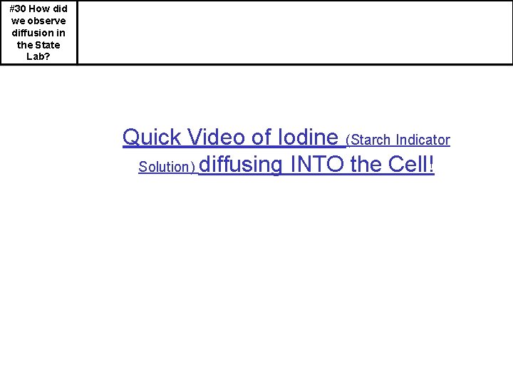 #30 How did we observe diffusion in the State Lab? Quick Video of Iodine