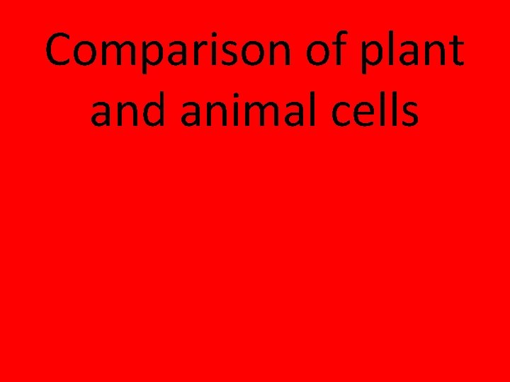 Comparison of plant and animal cells 