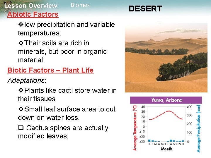 Lesson Overview Biomes Lesson Overview 4 4 Biomes