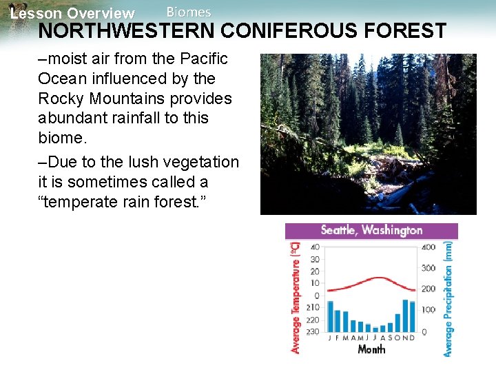 Lesson Overview Biomes NORTHWESTERN CONIFEROUS FOREST –moist air from the Pacific Ocean influenced by