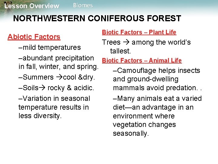 Lesson Overview Biomes NORTHWESTERN CONIFEROUS FOREST Biotic Factors – Plant Life Abiotic Factors Trees