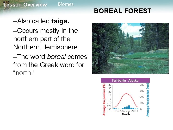 Lesson Overview Biomes –Also called taiga. –Occurs mostly in the northern part of the