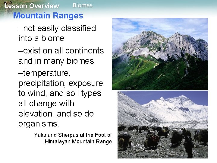 Lesson Overview Biomes Mountain Ranges –not easily classified into a biome –exist on all