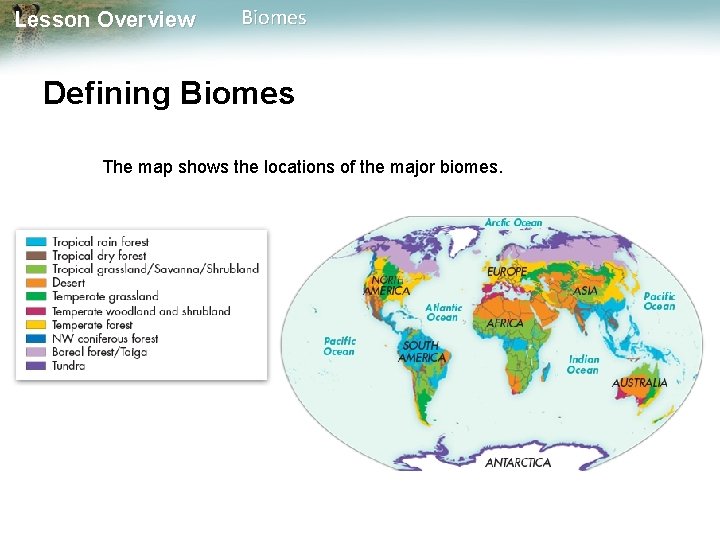 Lesson Overview Biomes Defining Biomes The map shows the locations of the major biomes.