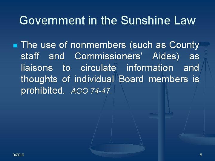 Government in the Sunshine Law n The use of nonmembers (such as County staff