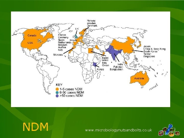 NDM www. microbiologynutsandbolts. co. uk NDM www. microbiologynutsandbolts. co. uk