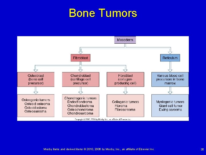 Bone Tumors Mosby items and derived items © 2010, 2006 by Mosby, Inc. ,