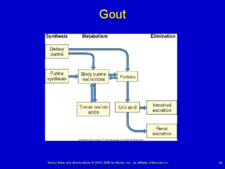 Gout Mosby items and derived items © 2010, 2006 by Mosby, Inc. , an