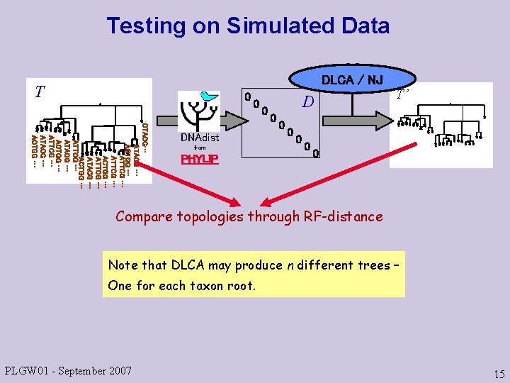 Testing on Simulated Data DLCA / NJ T 0 0 CTACG… ATACG … AGTGG