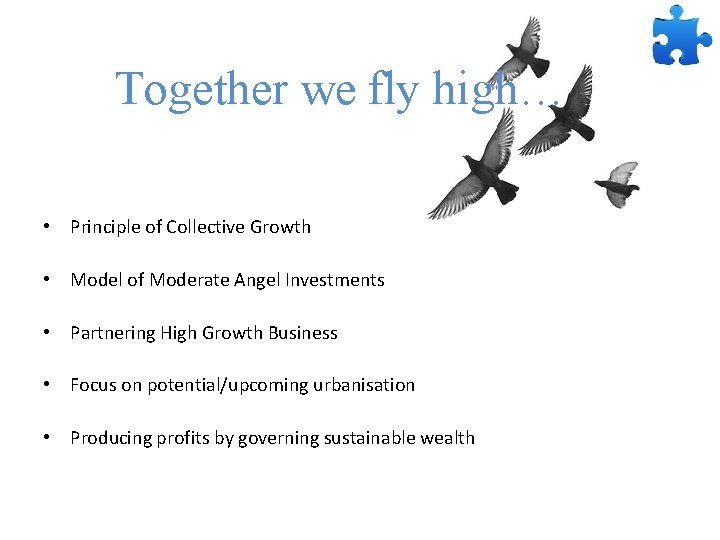 Together we fly high… • Principle of Collective Growth • Model of Moderate Angel