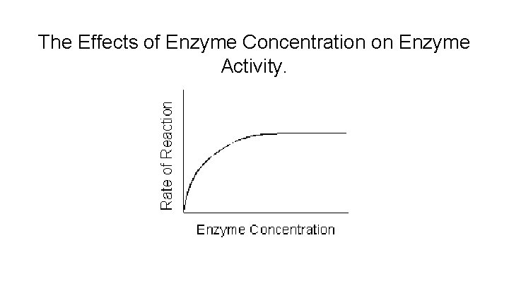 The Effects of Enzyme Concentration on Enzyme Activity. 