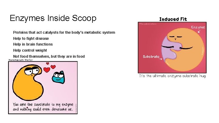 Enzymes Inside Scoop Proteins that act catalysts for the body's metabolic system Help to