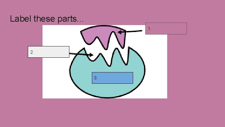 Label these parts. . . 1. 2. 3. 