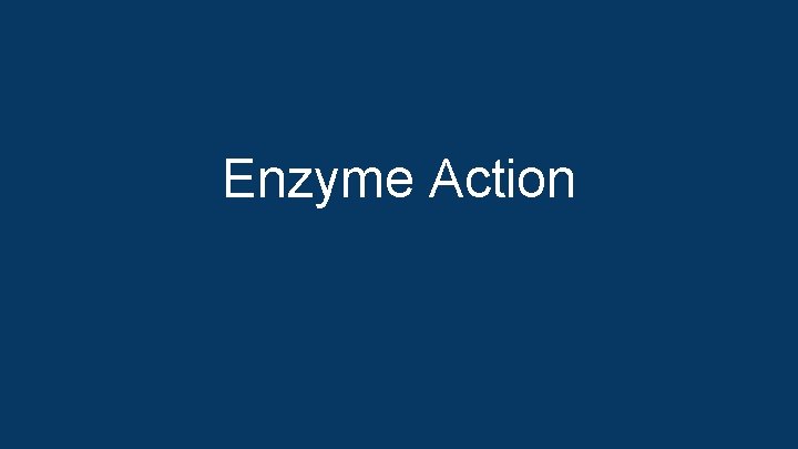 Enzyme Action 