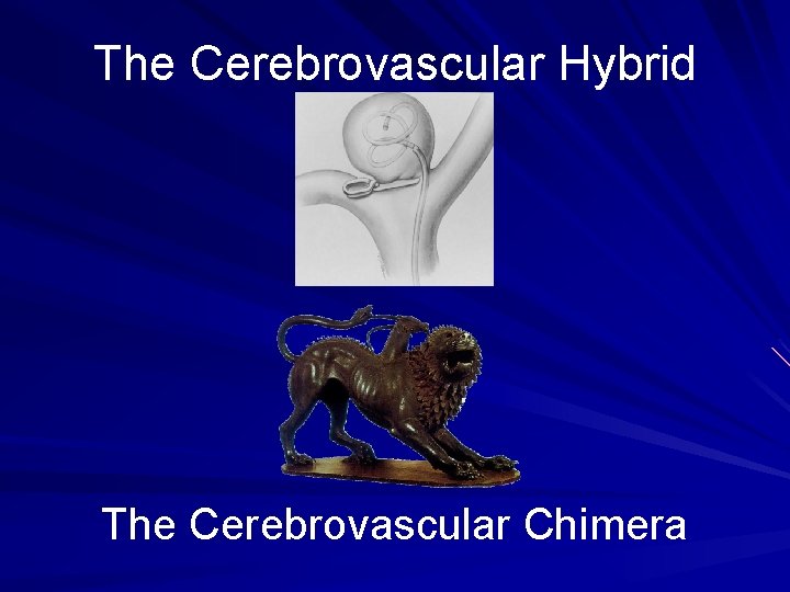 The Cerebrovascular Hybrid The Cerebrovascular Chimera 