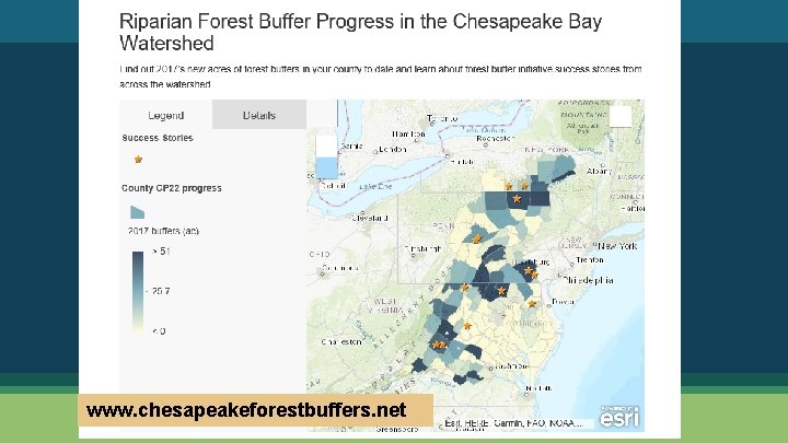 www. chesapeakeforestbuffers. net 