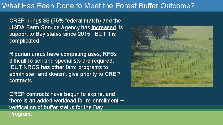  • What Has Been Done to Meet the Forest Buffer Outcome? CREP brings