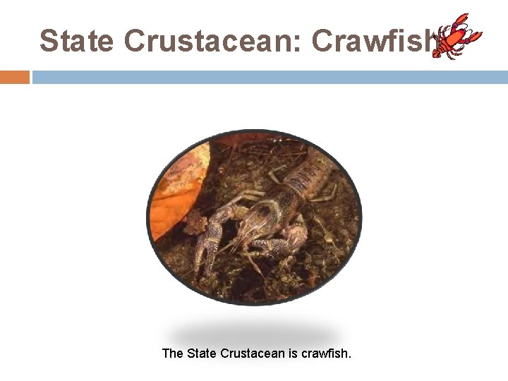 State Crustacean: Crawfish The State Crustacean is crawfish. 