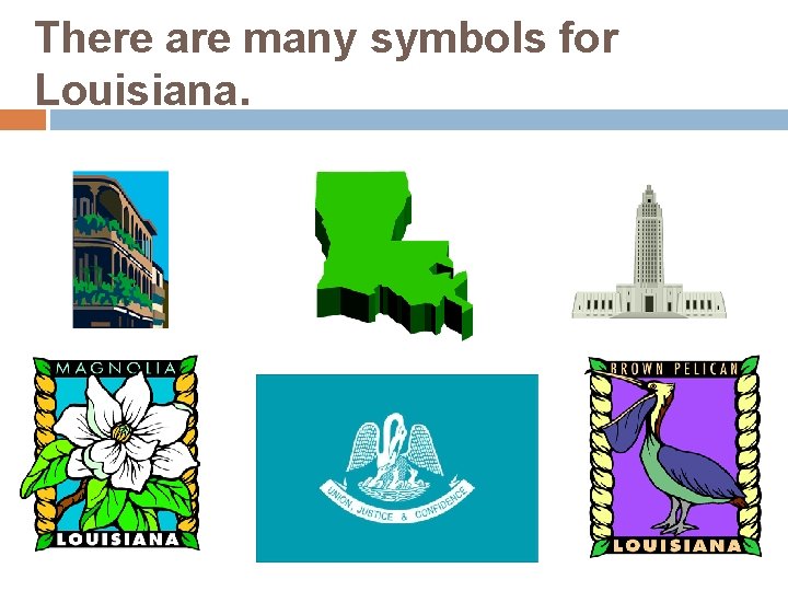There are many symbols for Louisiana. 