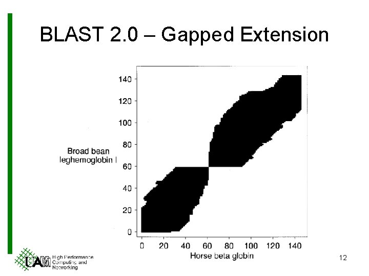 BLAST 2. 0 – Gapped Extension 12 