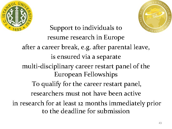 Support to individuals to resume research in Europe after a career break, e. g.