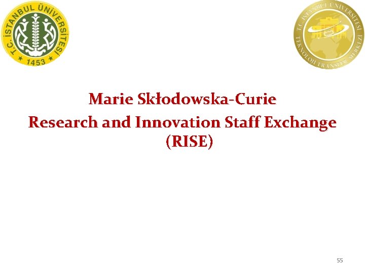 Marie Skłodowska-Curie Research and Innovation Staff Exchange (RISE) 55 